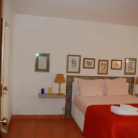 Guest house Casa Da Raposeira, Douro Valley *