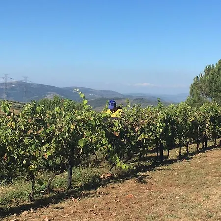 Casa Da Raposeira, Douro Valley Armamar