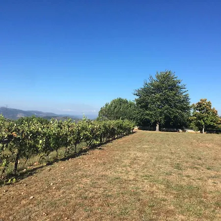 Casa Da Raposeira, Douro Valley * Armamar